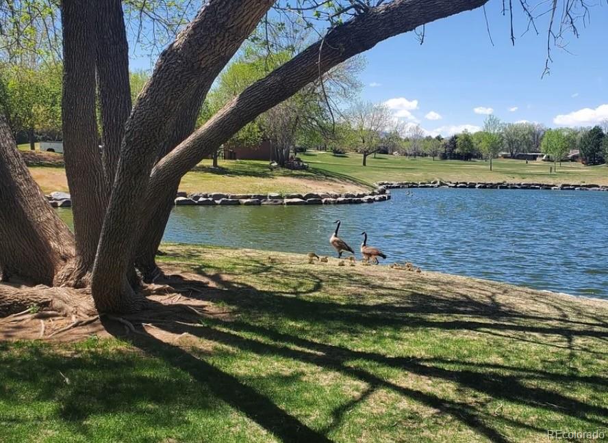 MLS Image #33 for 7220 w maple drive,lakewood, Colorado