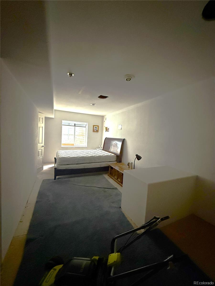 MLS Image #10 for 5543  helena court,denver, Colorado