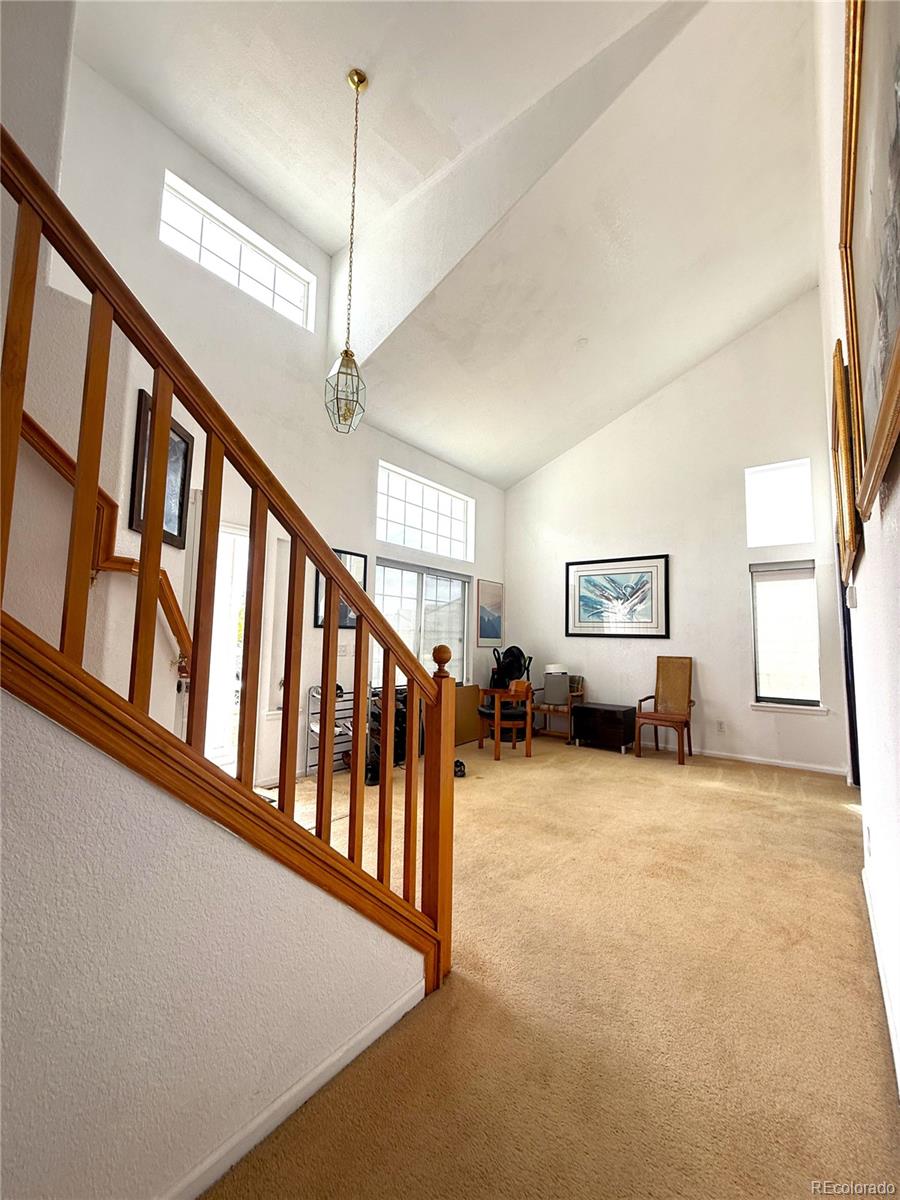 MLS Image #16 for 5543  helena court,denver, Colorado