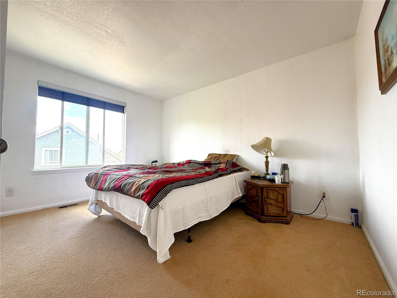 MLS Image #18 for 5543  helena court,denver, Colorado