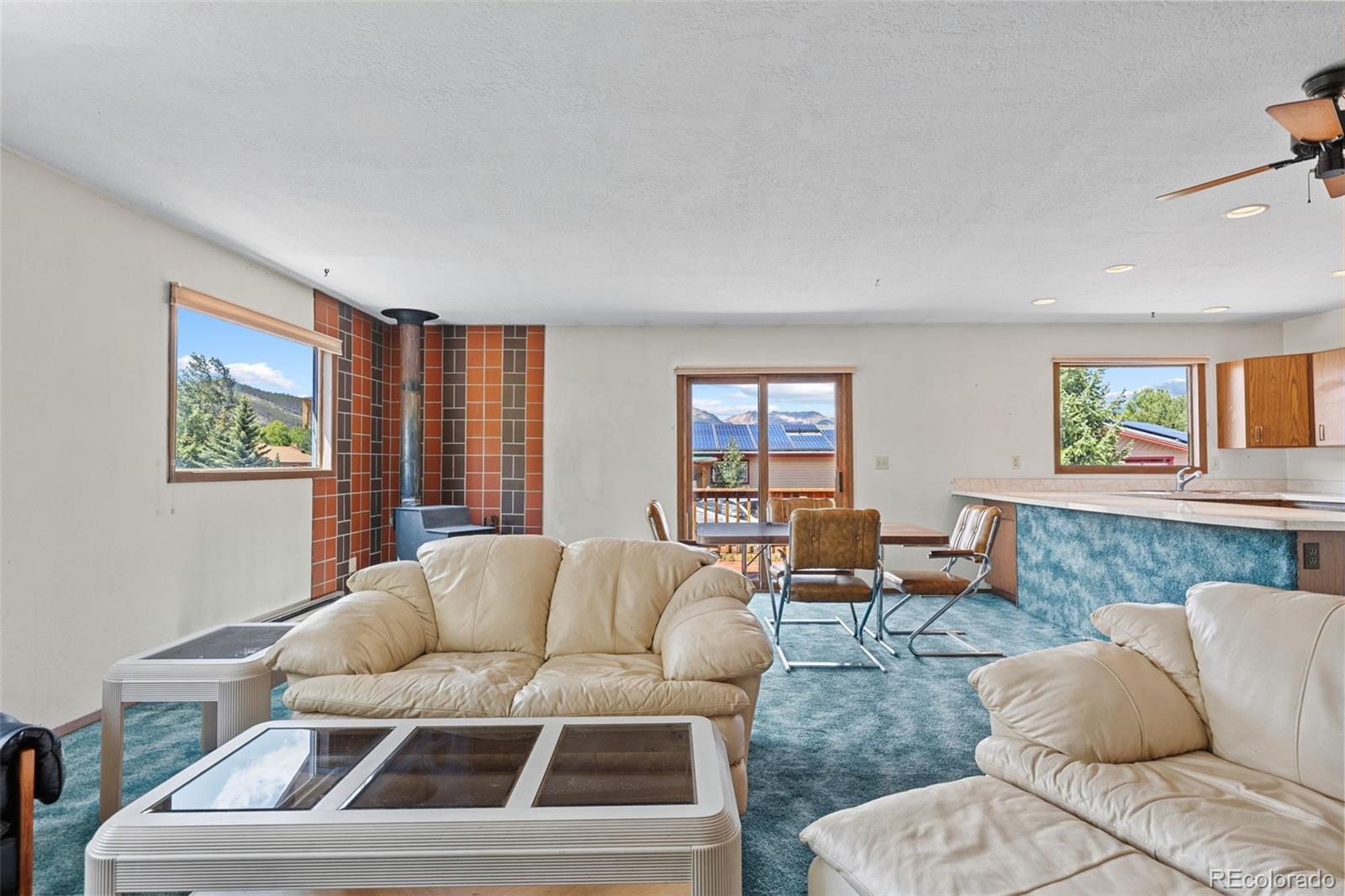 MLS Image #10 for 143  meadow drive,dillon, Colorado
