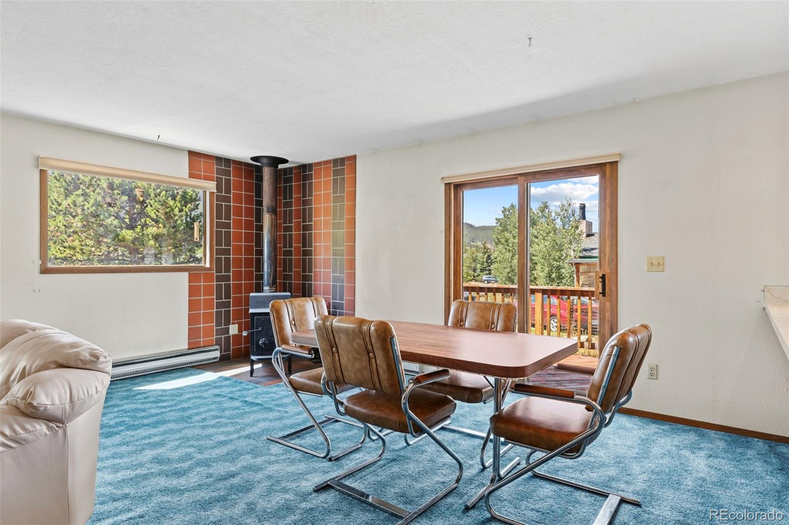 MLS Image #11 for 143  meadow drive,dillon, Colorado