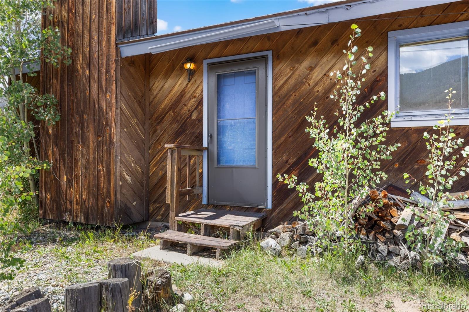 MLS Image #5 for 143  meadow drive,dillon, Colorado