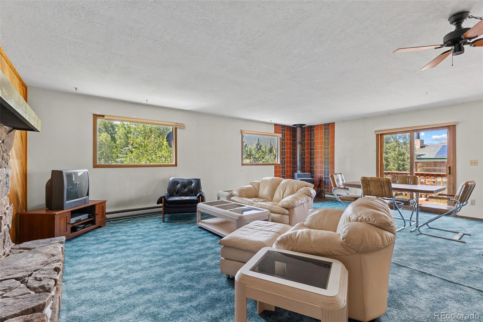 MLS Image #7 for 143  meadow drive,dillon, Colorado