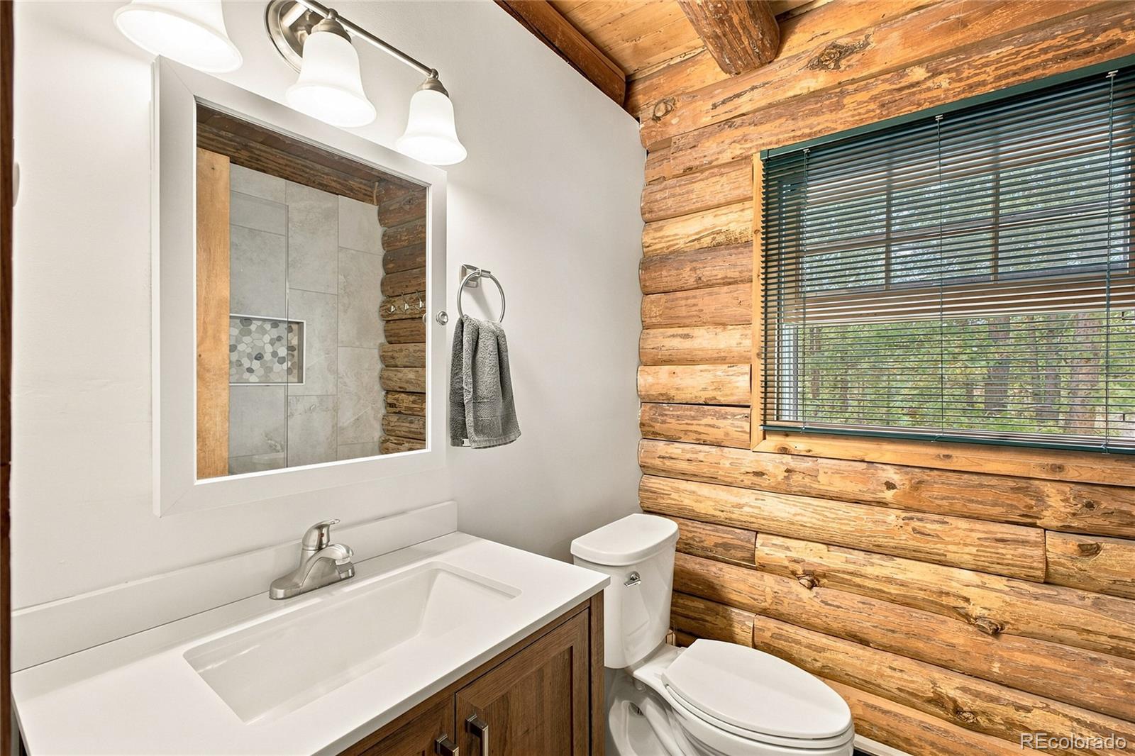 MLS Image #12 for 14988 s wandcrest drive,pine, Colorado