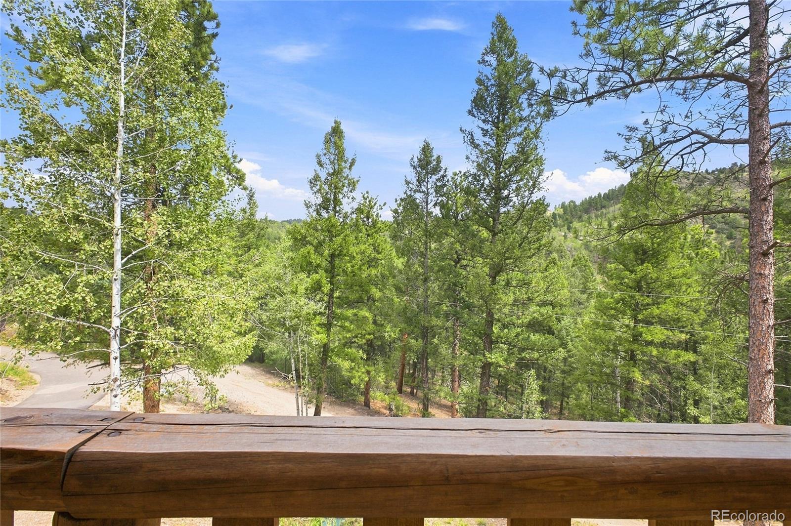 MLS Image #38 for 14988 s wandcrest drive,pine, Colorado
