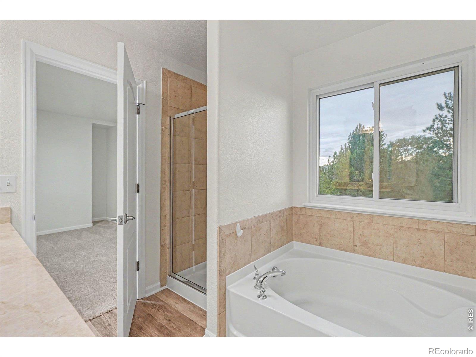 MLS Image #12 for 2134  blue wing drive,johnstown, Colorado