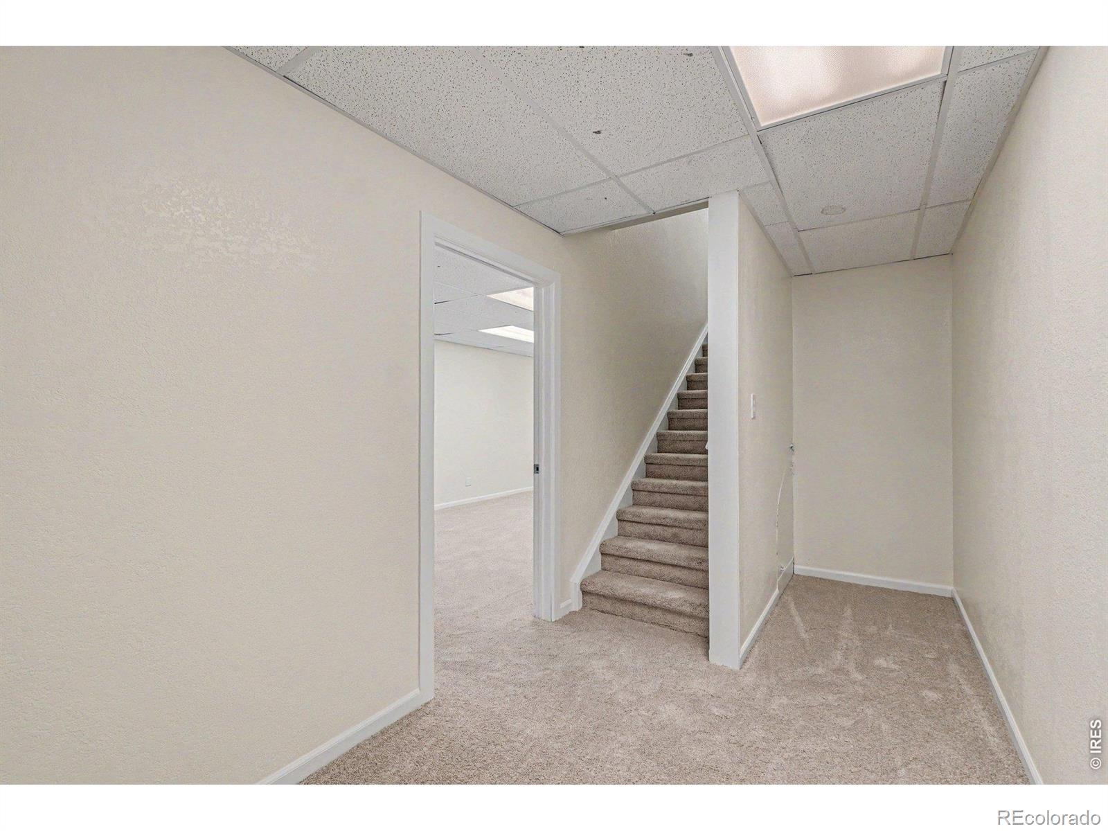 MLS Image #19 for 2134  blue wing drive,johnstown, Colorado