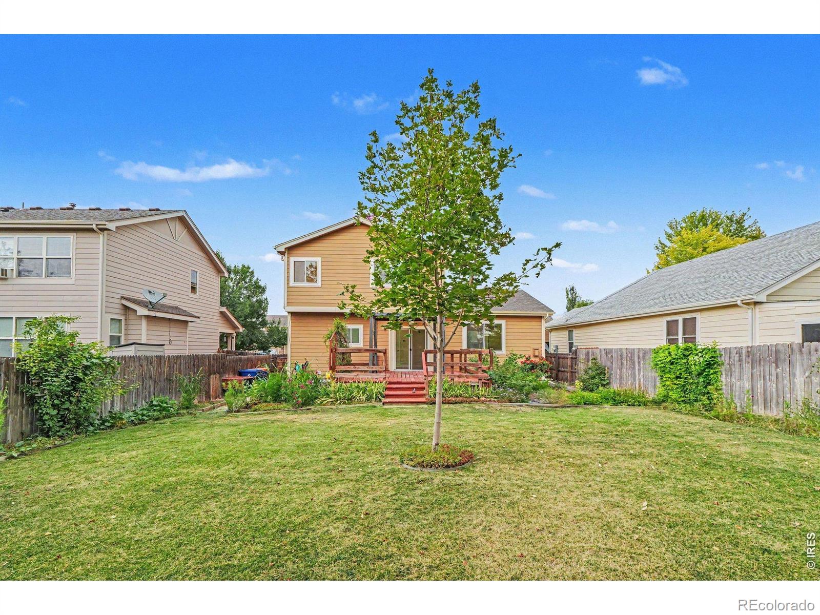 MLS Image #25 for 2134  blue wing drive,johnstown, Colorado