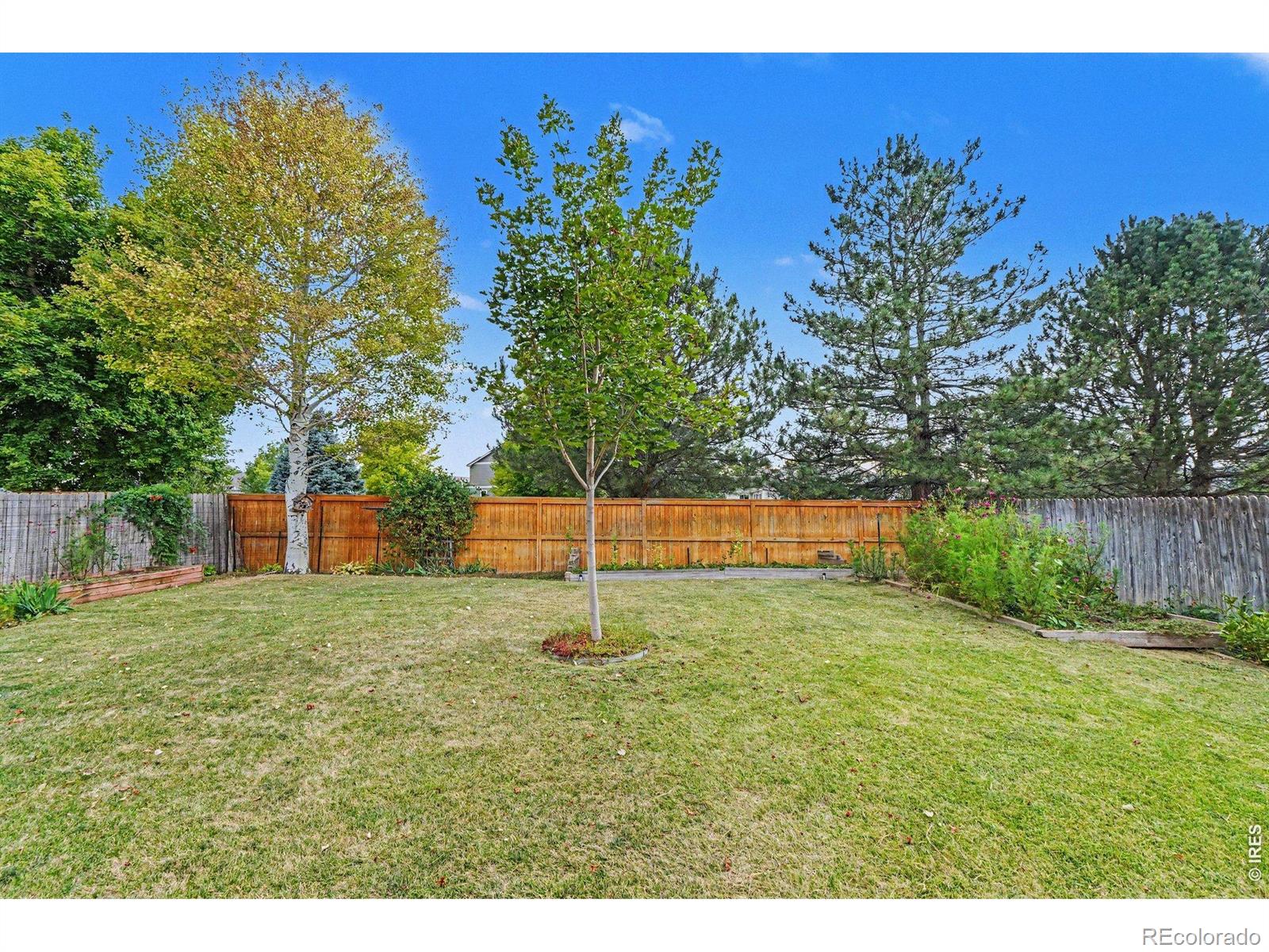 MLS Image #26 for 2134  blue wing drive,johnstown, Colorado
