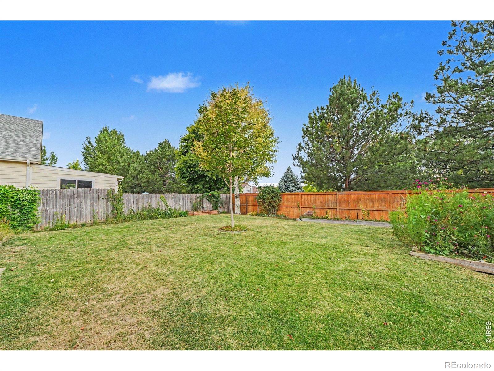 MLS Image #27 for 2134  blue wing drive,johnstown, Colorado