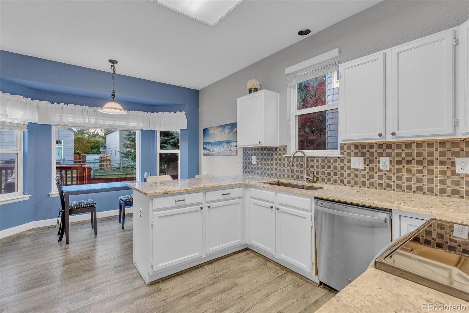 MLS Image #10 for 4131  snowbird avenue,broomfield, Colorado