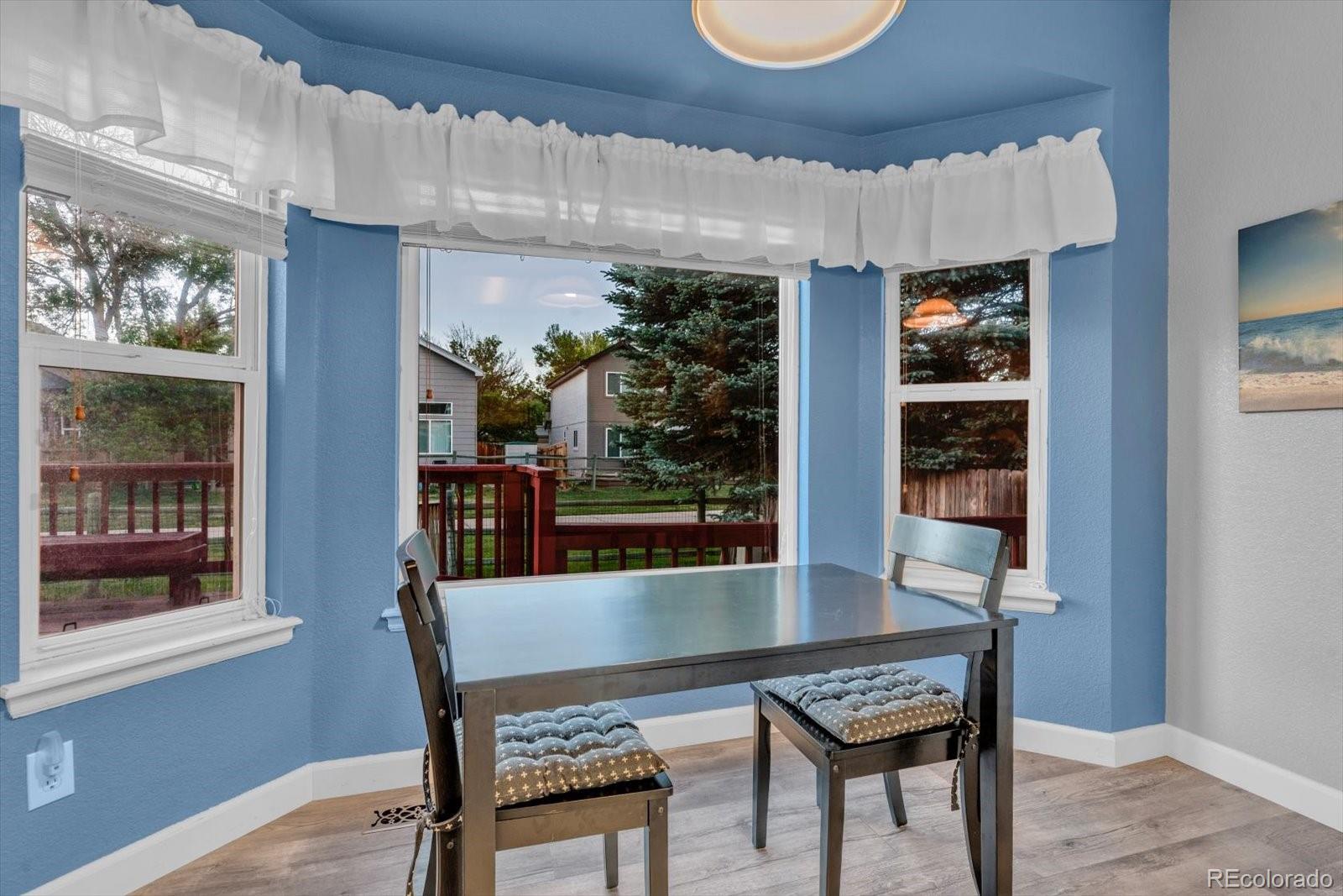 MLS Image #12 for 4131  snowbird avenue,broomfield, Colorado