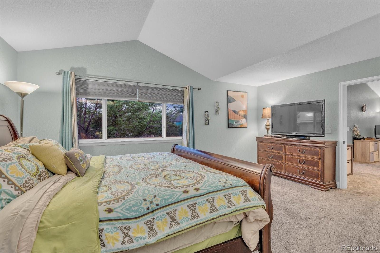 MLS Image #19 for 4131  snowbird avenue,broomfield, Colorado