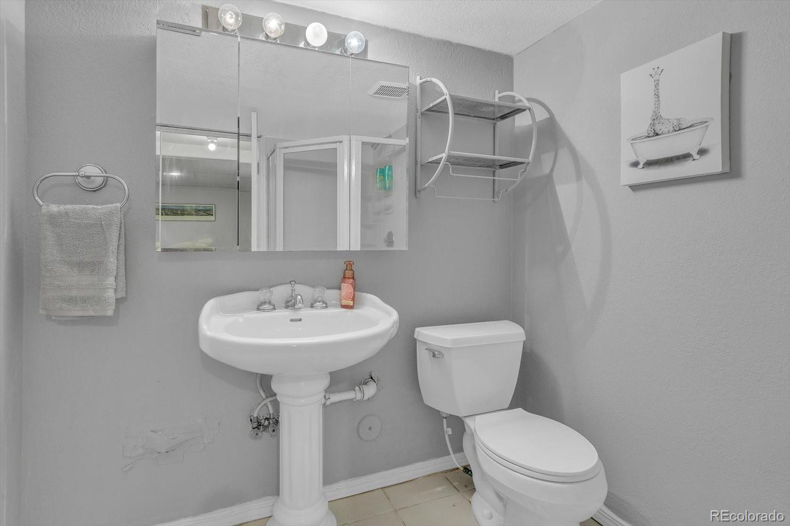 MLS Image #30 for 4131  snowbird avenue,broomfield, Colorado