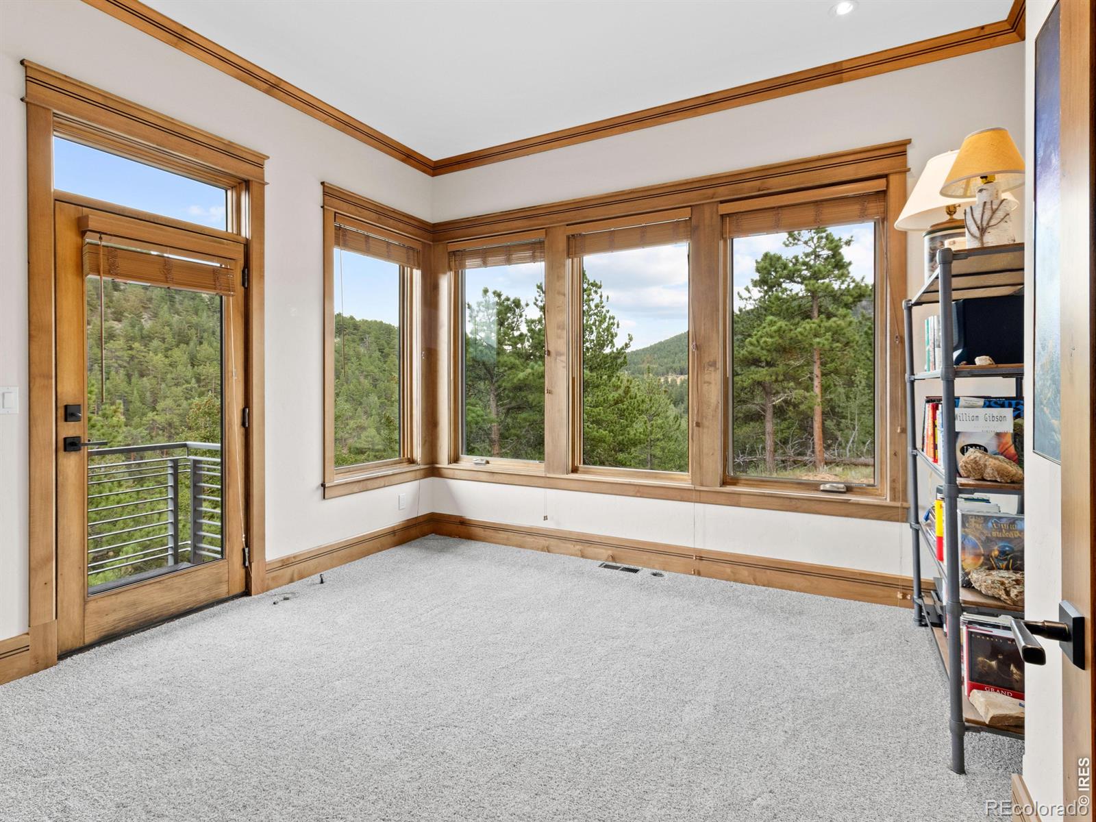MLS Image #14 for 16001  peak to peak highway,lyons, Colorado