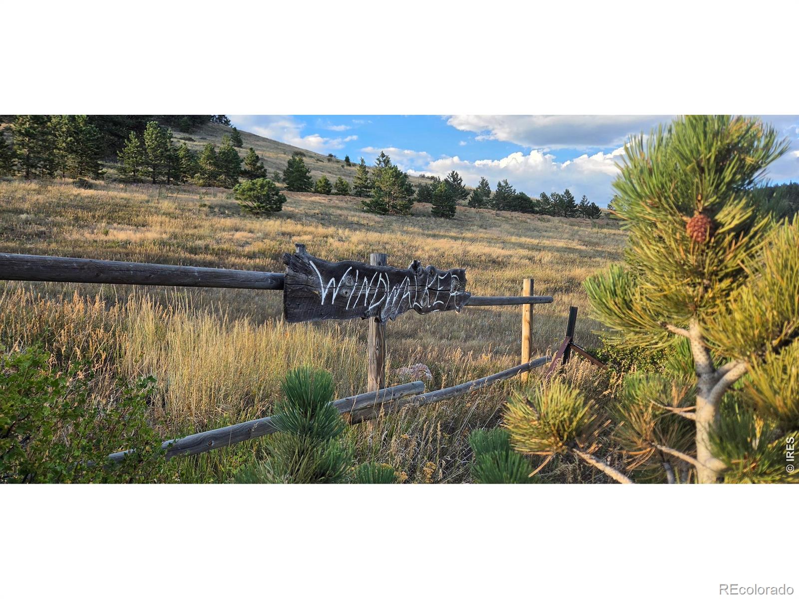 MLS Image #7 for 16001  peak to peak highway,lyons, Colorado