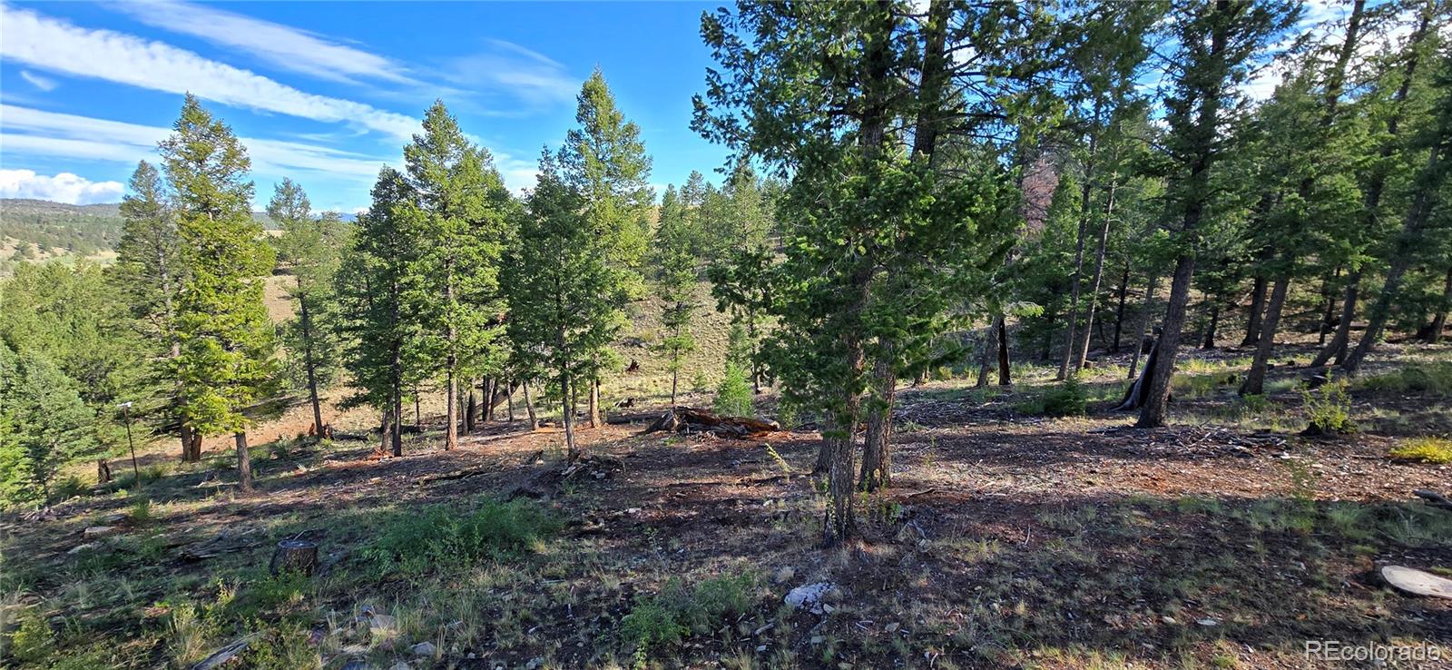 MLS Image #27 for 22800  county road 185 c ,salida, Colorado