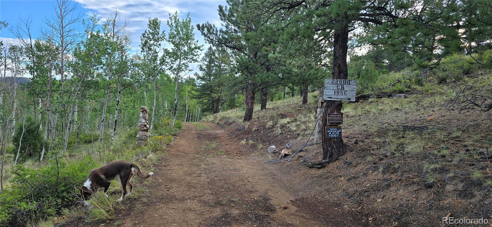 MLS Image #28 for 22800  county road 185 c ,salida, Colorado