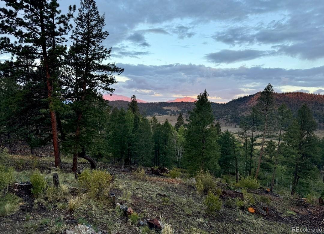 MLS Image #33 for 22800  county road 185 c ,salida, Colorado