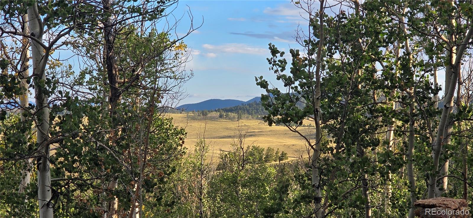 MLS Image #35 for 22800  county road 185 c ,salida, Colorado