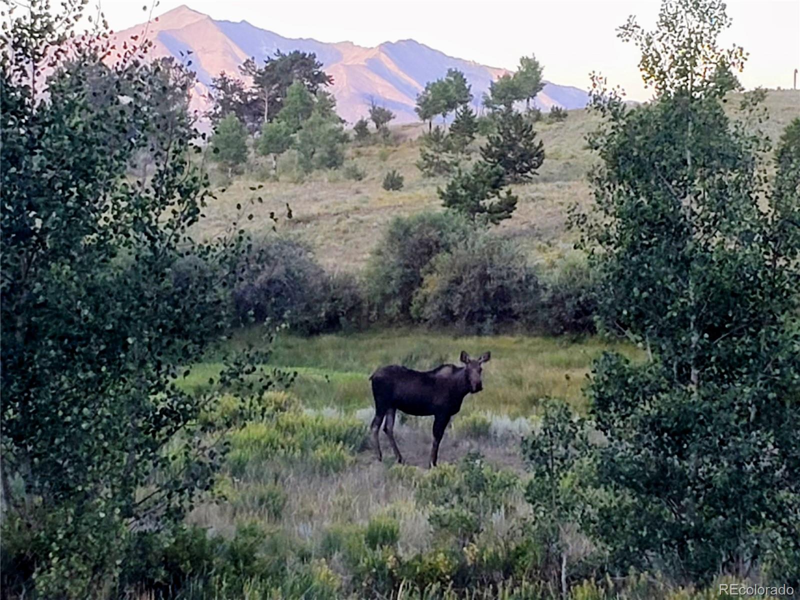 MLS Image #37 for 22800  county road 185 c ,salida, Colorado