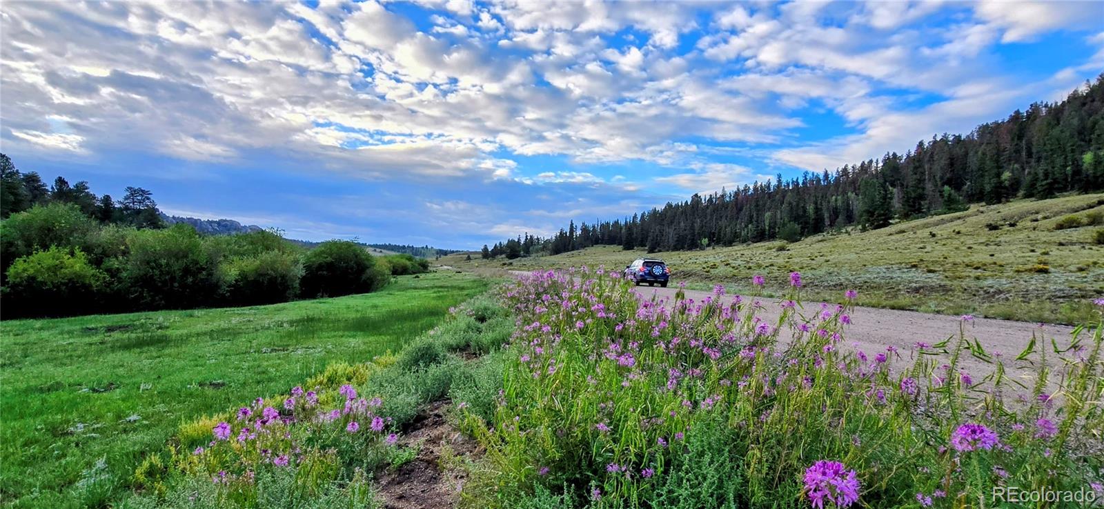 MLS Image #6 for 22800  county road 185 c ,salida, Colorado