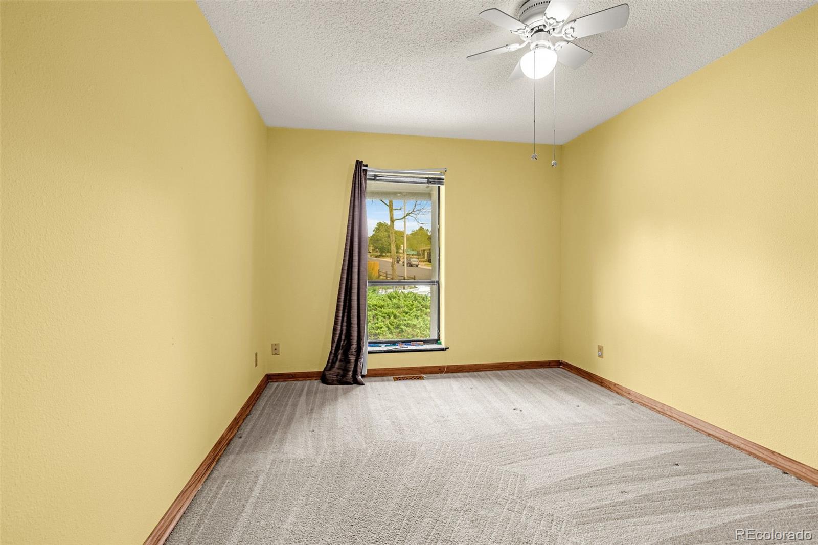 MLS Image #10 for 5191  bitterweed ,colorado springs, Colorado