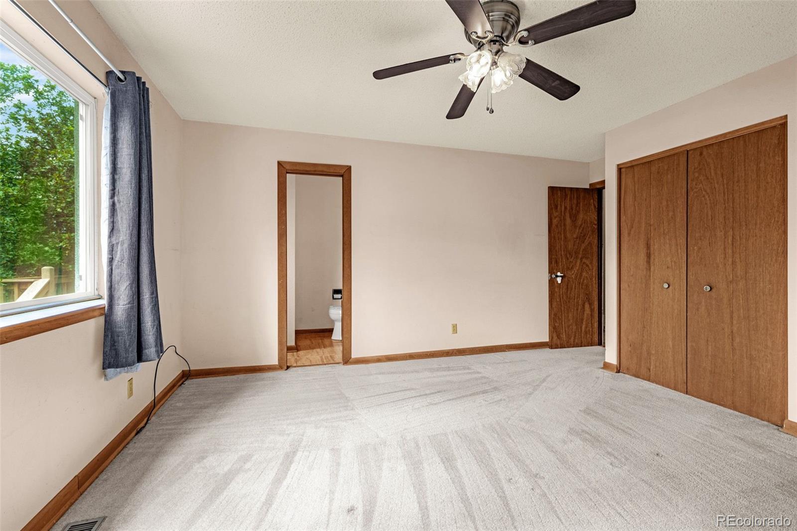 MLS Image #14 for 5191  bitterweed ,colorado springs, Colorado