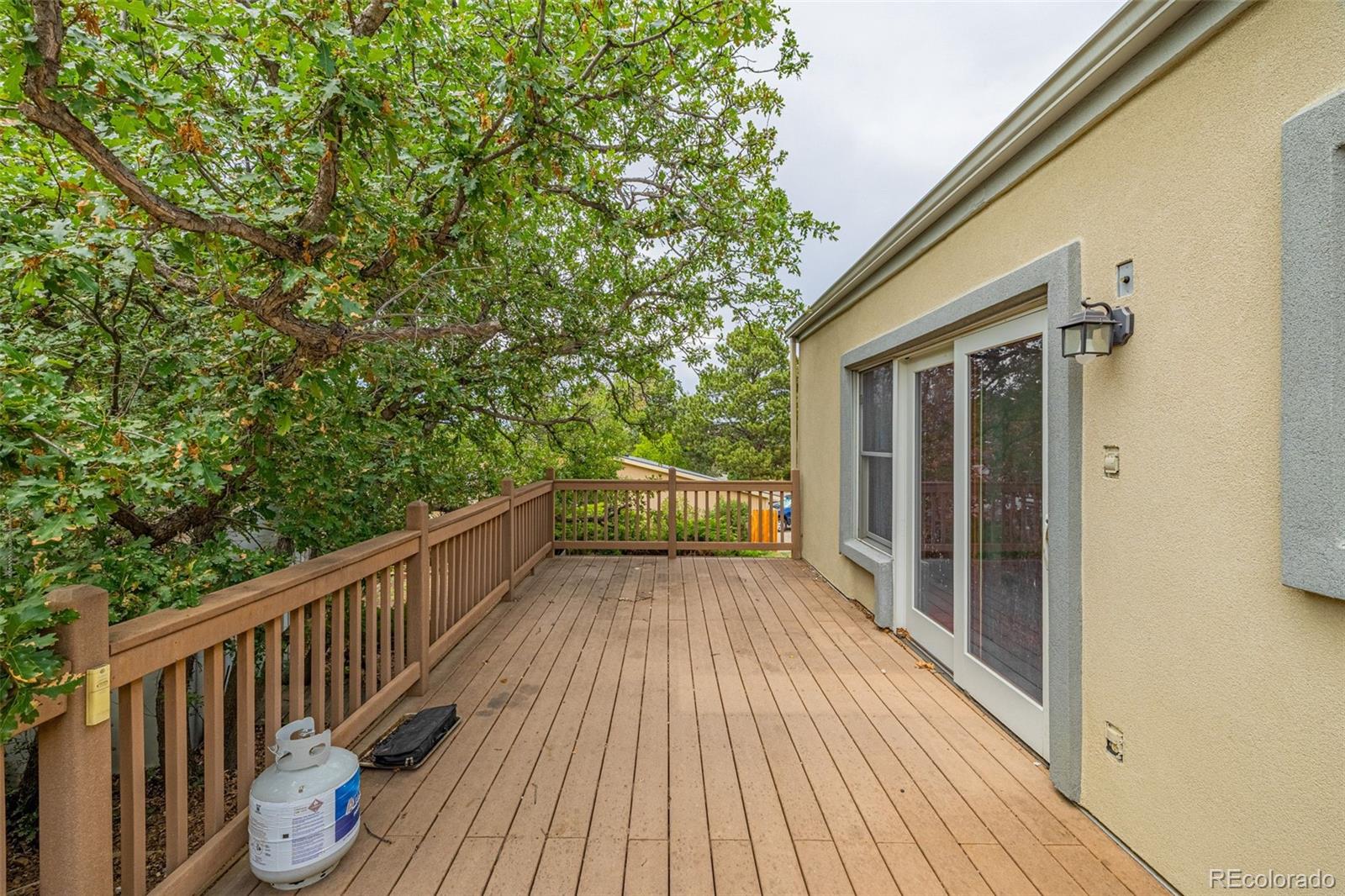MLS Image #22 for 5191  bitterweed ,colorado springs, Colorado
