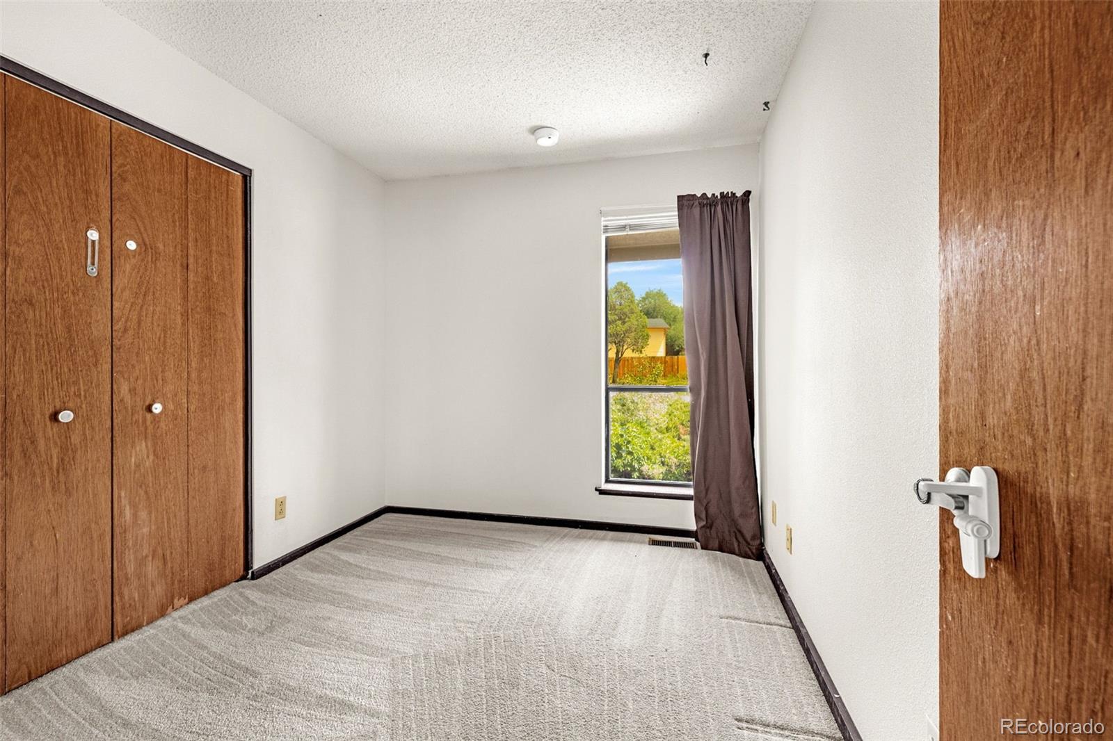 MLS Image #8 for 5191  bitterweed ,colorado springs, Colorado