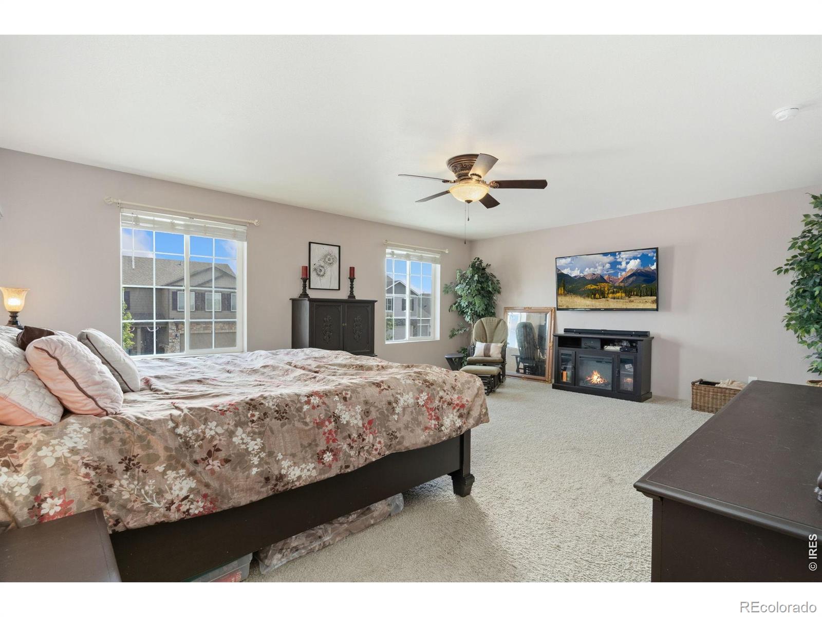 MLS Image #20 for 339  central avenue,severance, Colorado