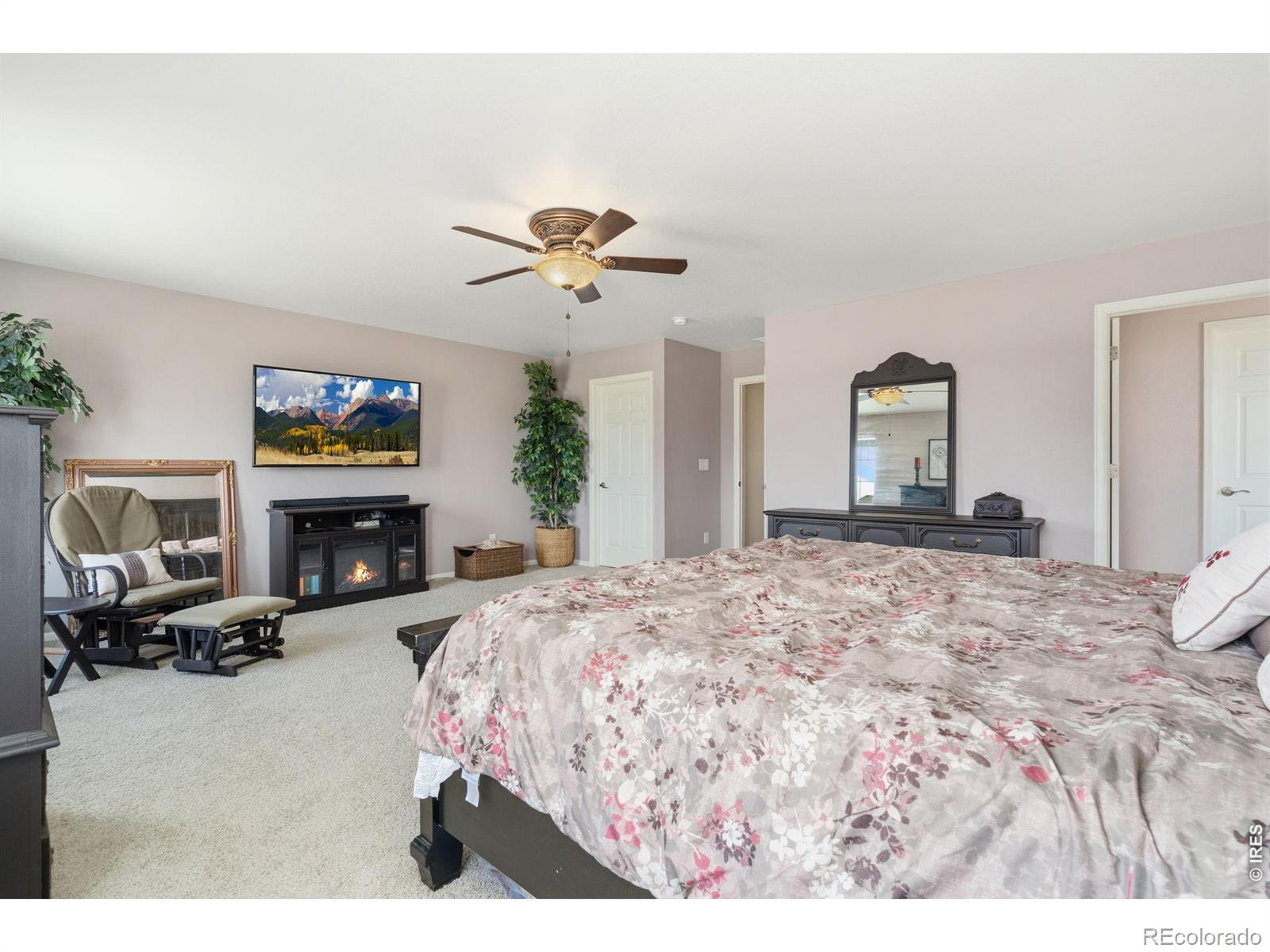 MLS Image #21 for 339  central avenue,severance, Colorado