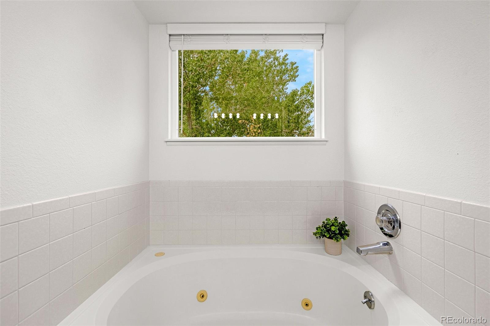 MLS Image #24 for 914  daffodil street,fountain, Colorado