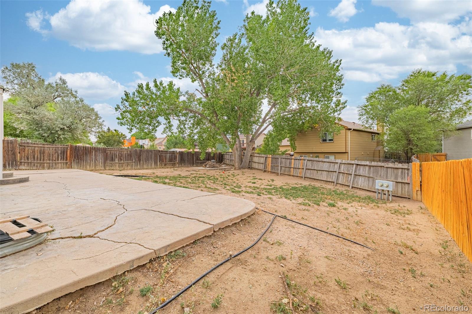 MLS Image #37 for 914  daffodil street,fountain, Colorado