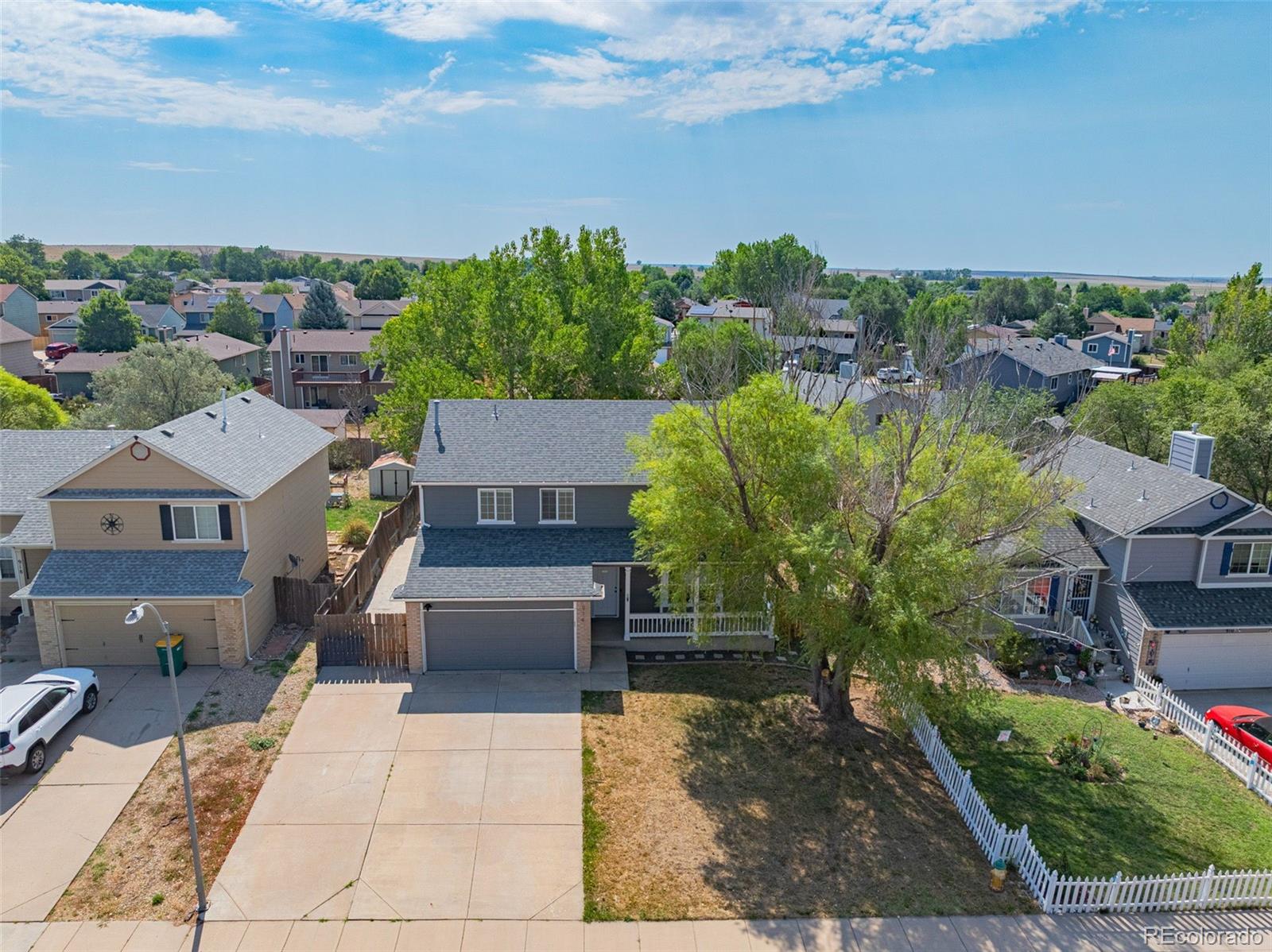 MLS Image #38 for 914  daffodil street,fountain, Colorado