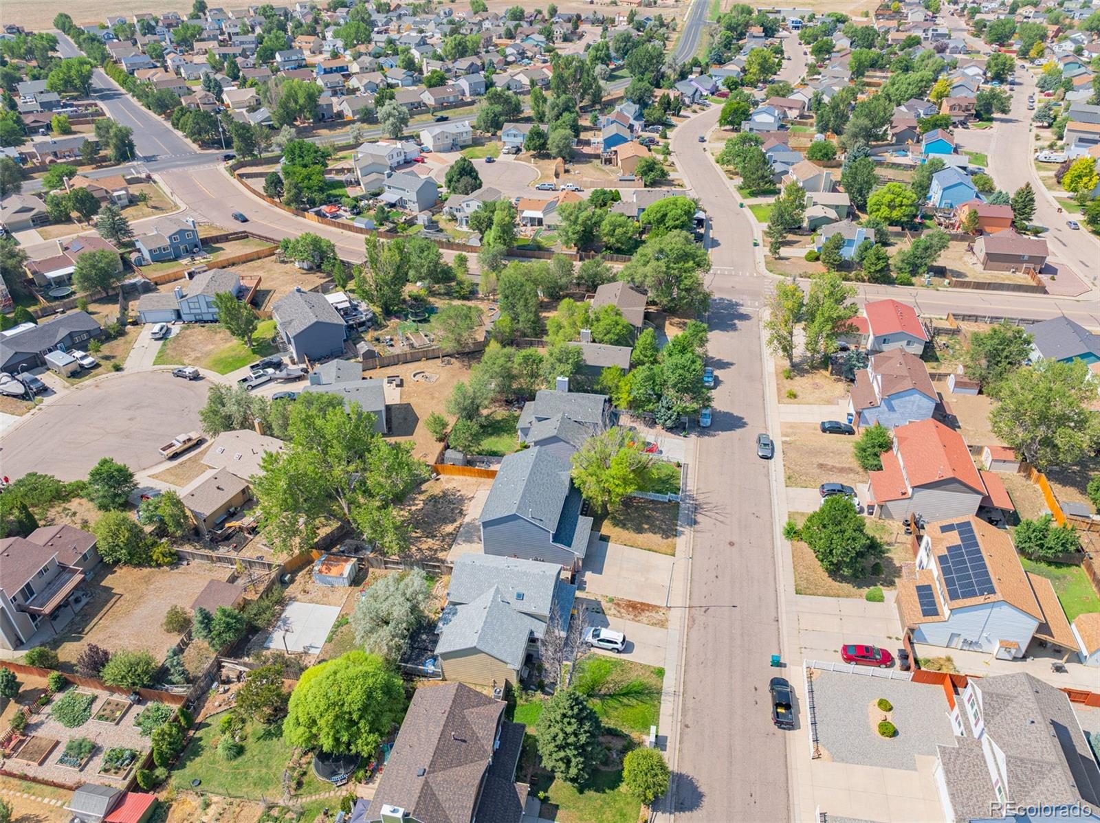 MLS Image #46 for 914  daffodil street,fountain, Colorado