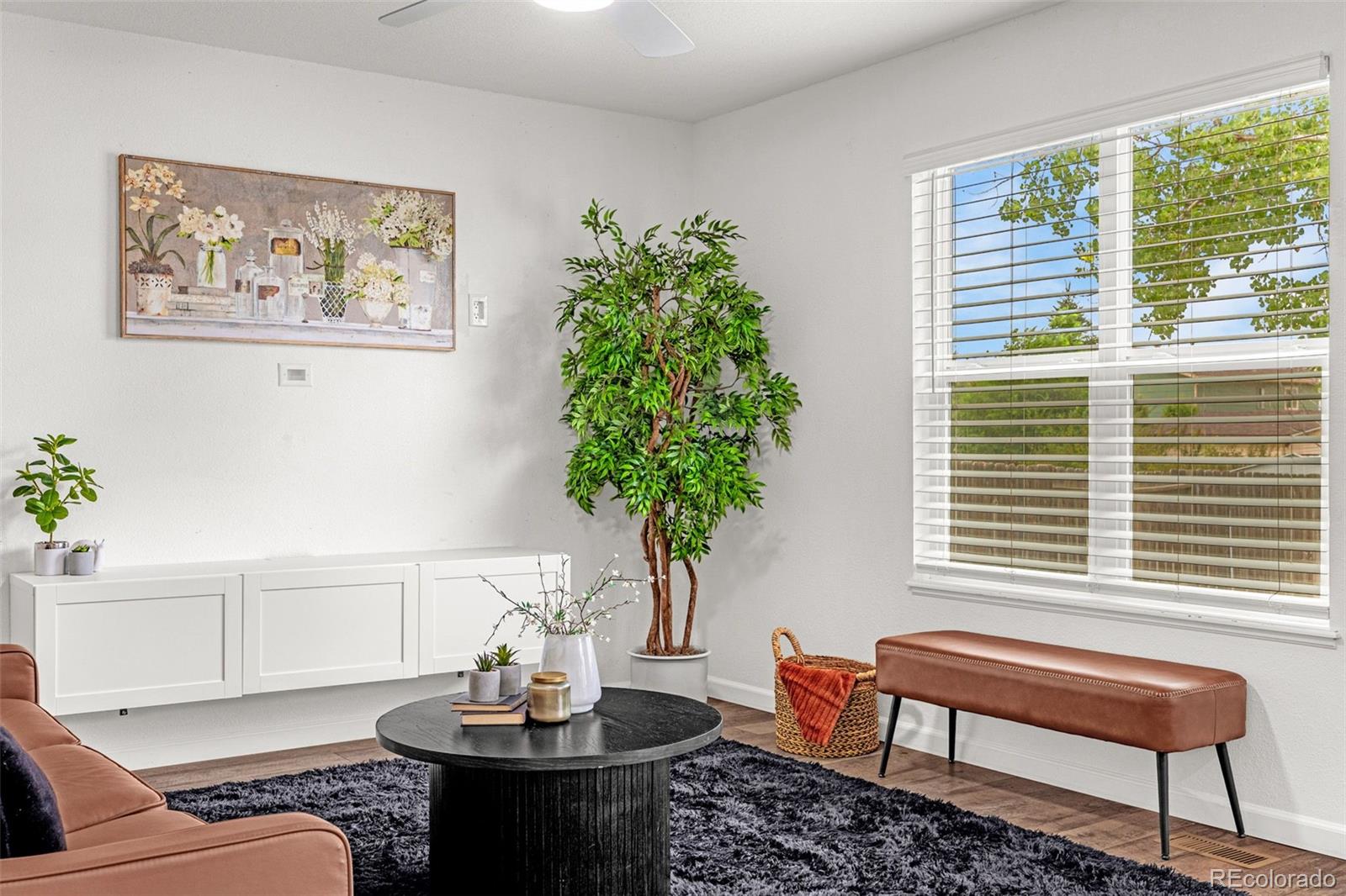 MLS Image #8 for 914  daffodil street,fountain, Colorado