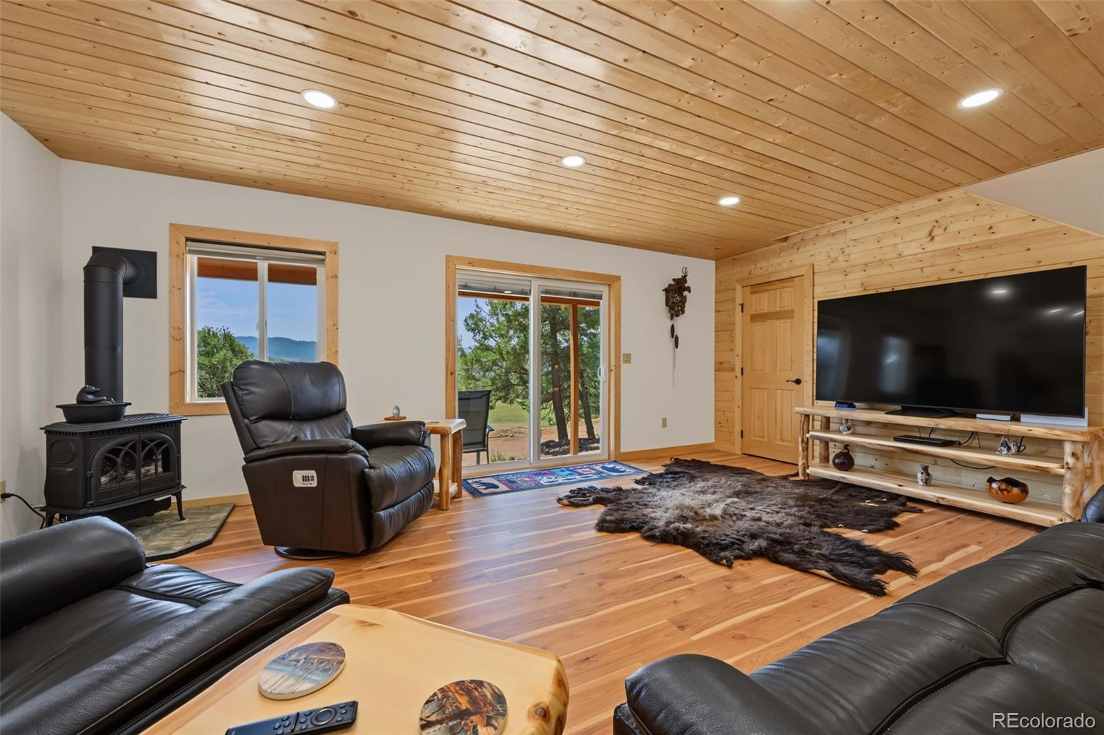 MLS Image #13 for 373  chinook drive,canon city, Colorado