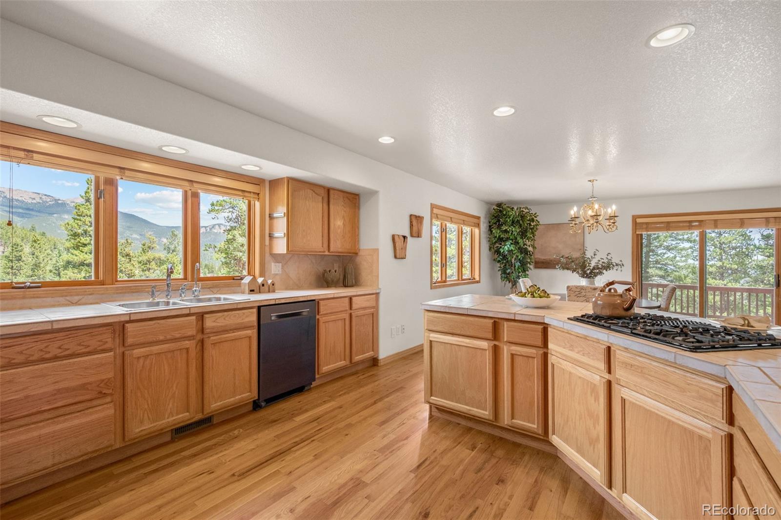 MLS Image #14 for 1363  royal ridge drive,bailey, Colorado