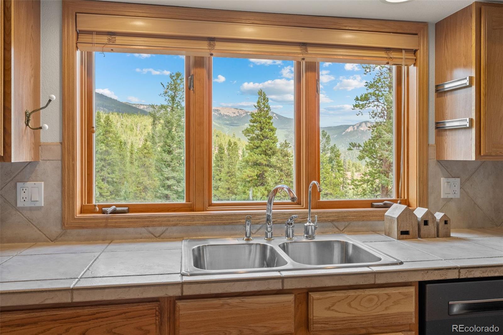 MLS Image #15 for 1363  royal ridge drive,bailey, Colorado