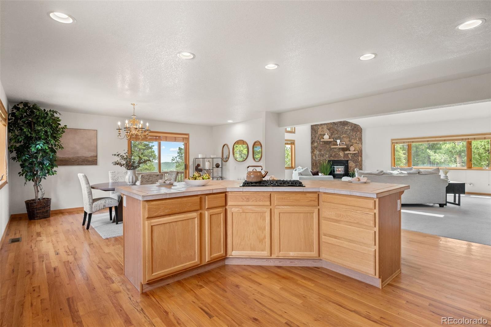MLS Image #16 for 1363  royal ridge drive,bailey, Colorado