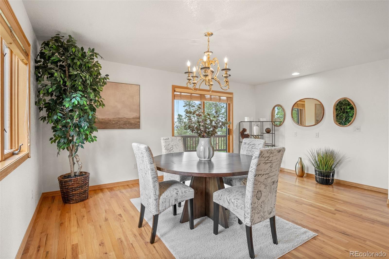 MLS Image #17 for 1363  royal ridge drive,bailey, Colorado