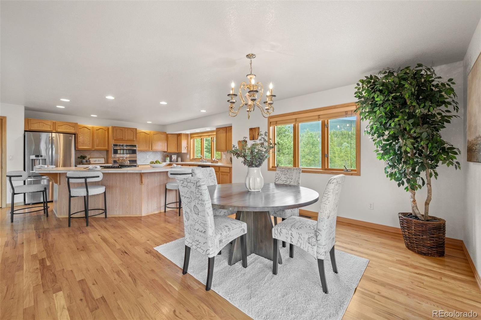 MLS Image #18 for 1363  royal ridge drive,bailey, Colorado
