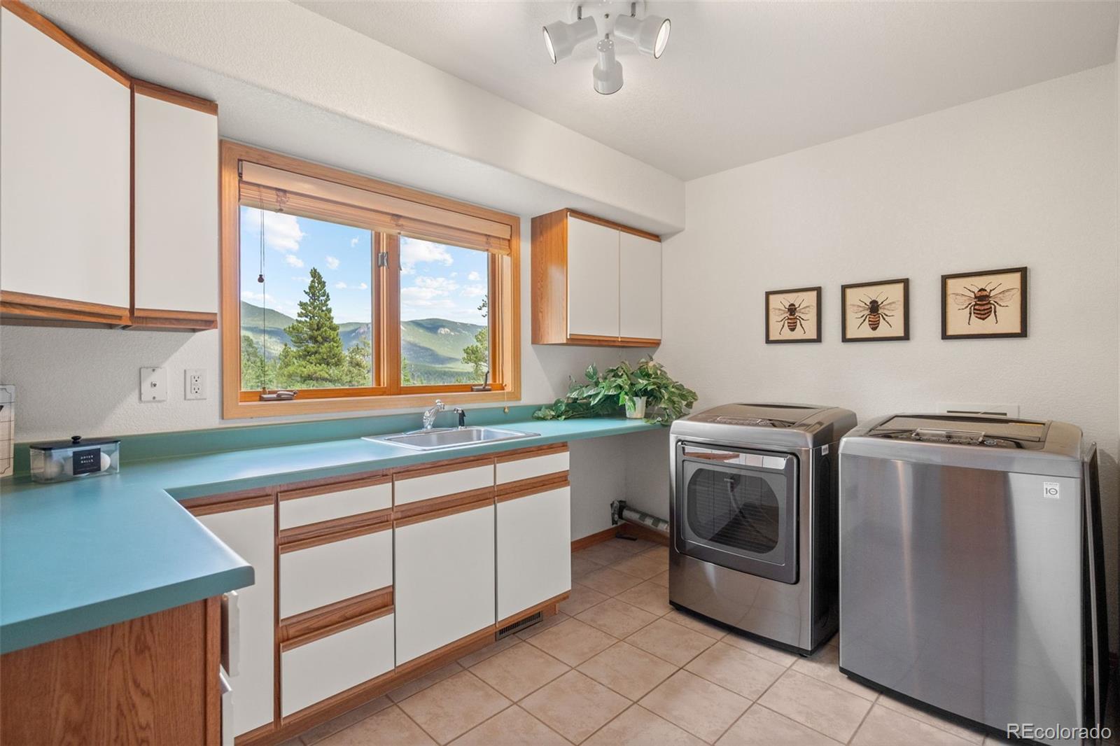 MLS Image #19 for 1363  royal ridge drive,bailey, Colorado