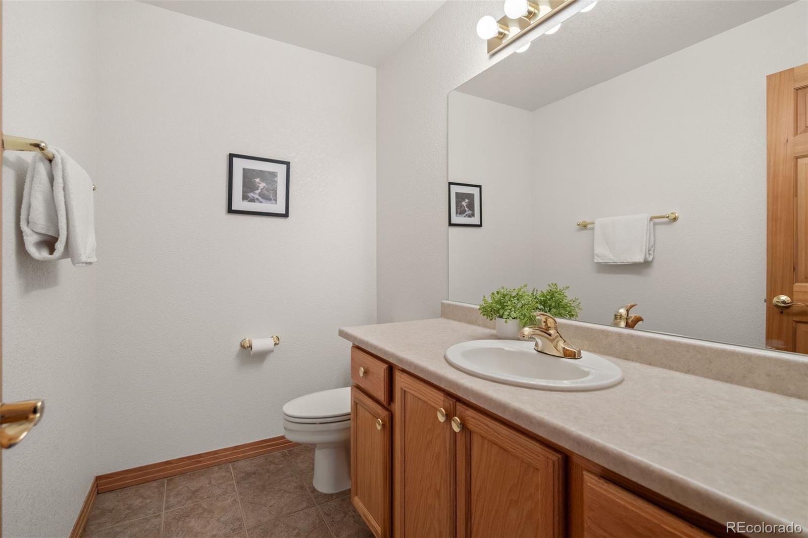 MLS Image #20 for 1363  royal ridge drive,bailey, Colorado