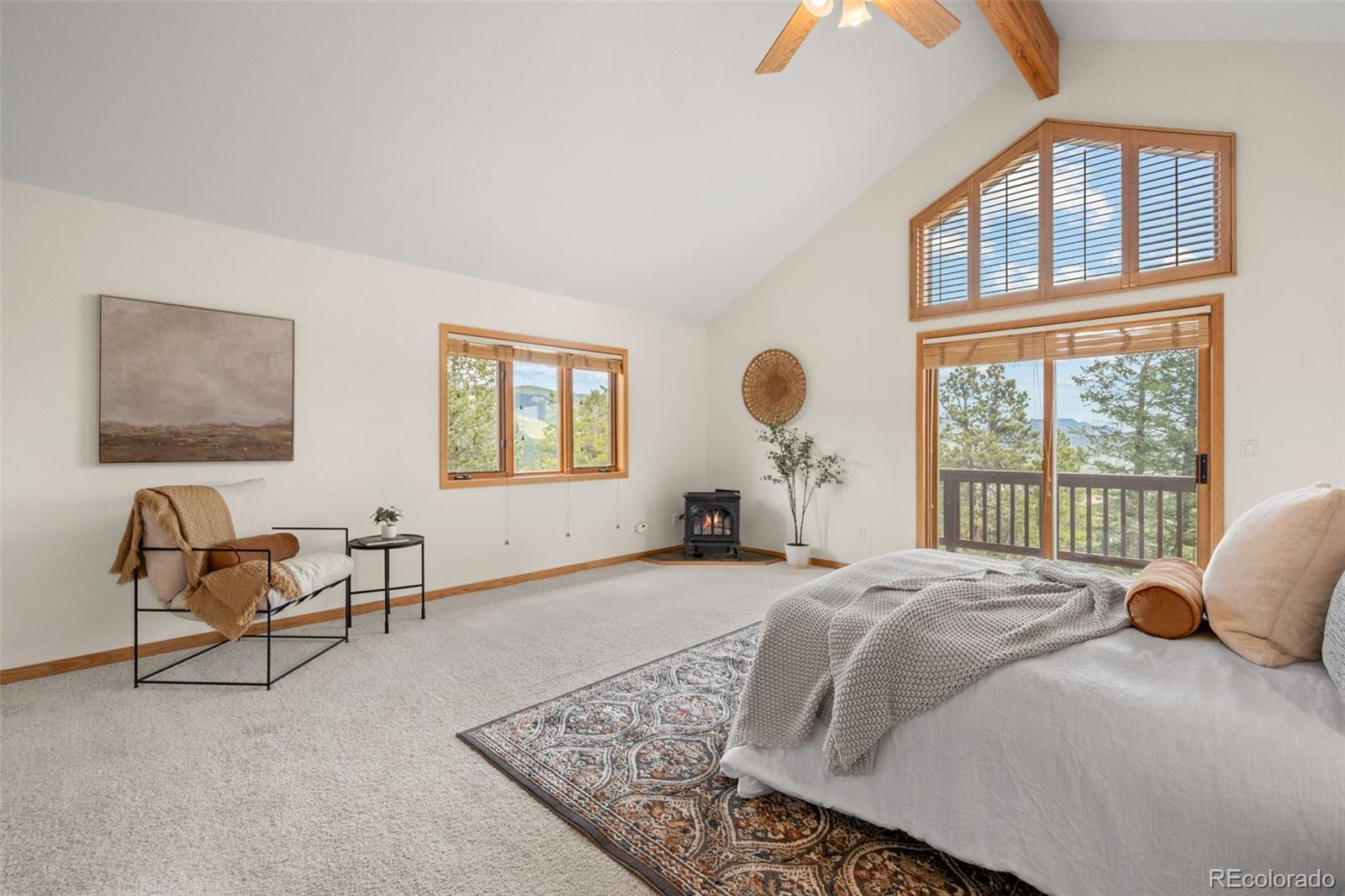 MLS Image #23 for 1363  royal ridge drive,bailey, Colorado