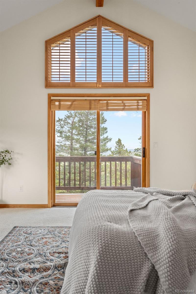 MLS Image #24 for 1363  royal ridge drive,bailey, Colorado