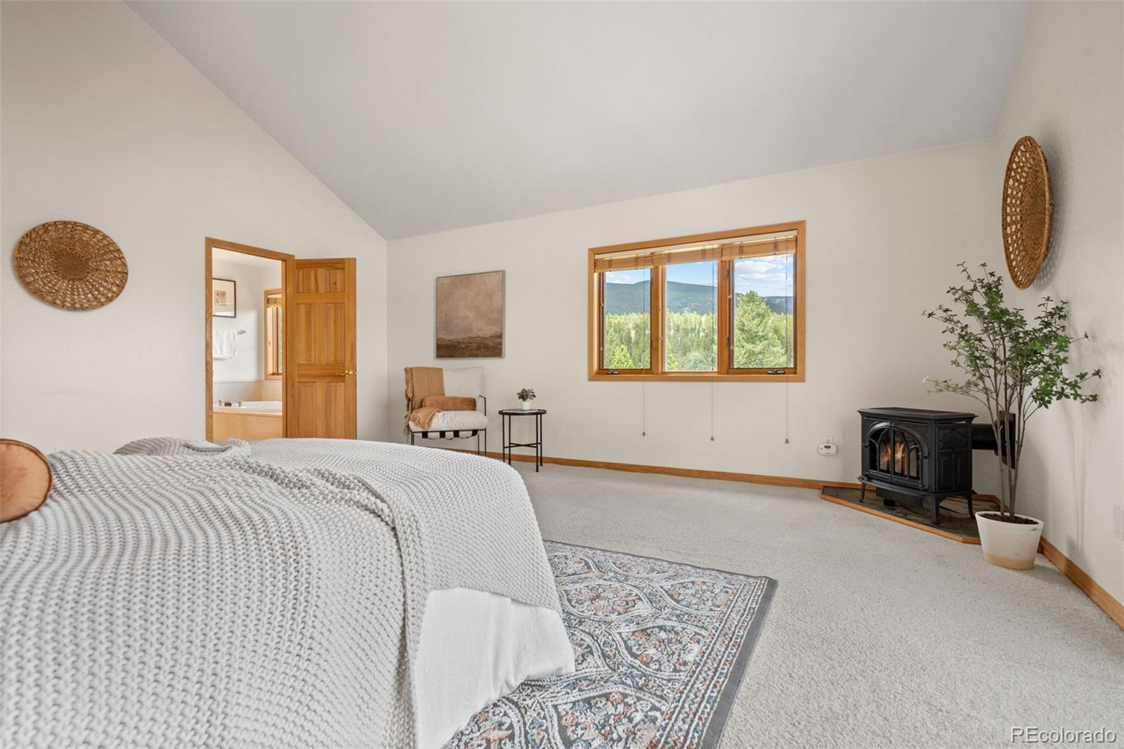 MLS Image #28 for 1363  royal ridge drive,bailey, Colorado