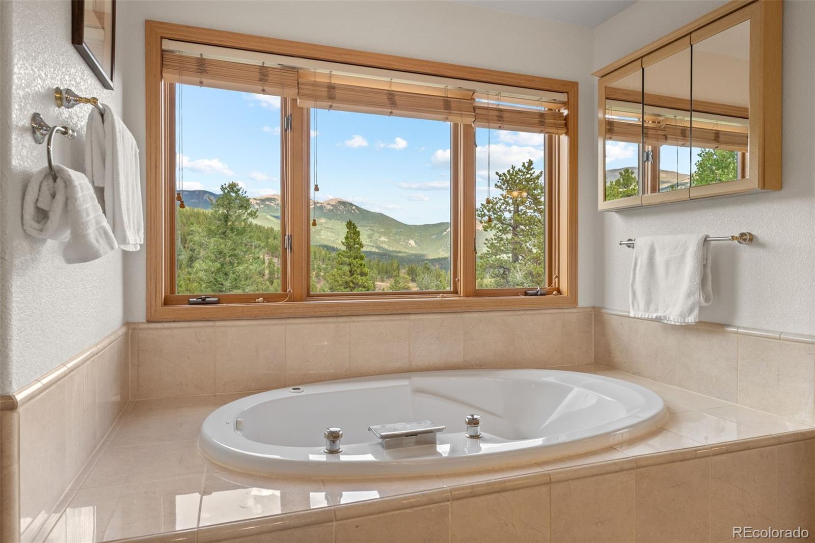 MLS Image #31 for 1363  royal ridge drive,bailey, Colorado